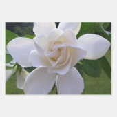 Set für Umschlagpapier - Gröden Geschenkpapier Set (Vorderseite)