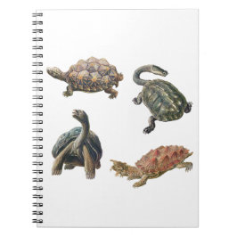 Set für Vintage Schildkrötenabbildungen Notizblock