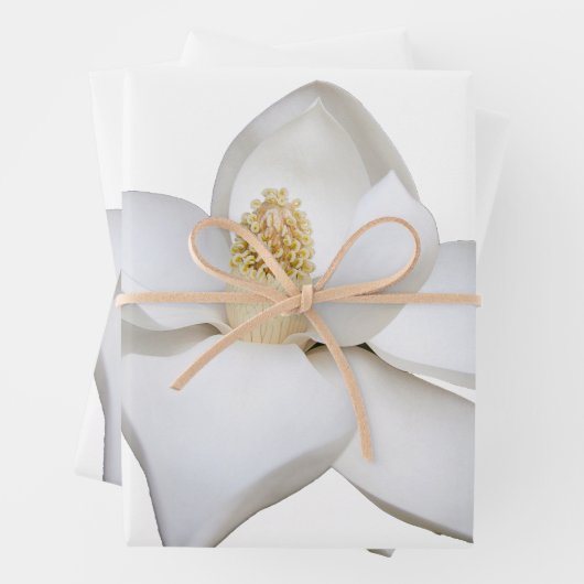 Set Geschenkpapier Set (Beispiel)