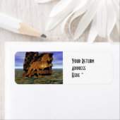 Set in Stone (Insitu)