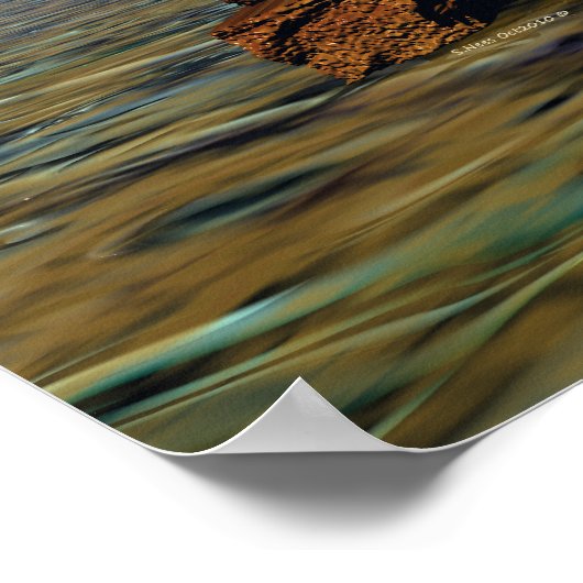 Set in Stone Poster (Ecke)