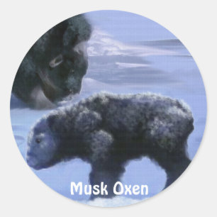 Set "Musk Oxen and Snow Animal Lover" Runder Aufkleber