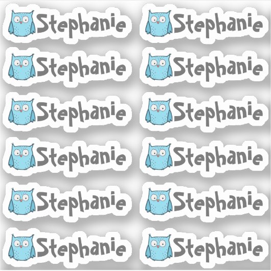 Set of 12 Small Whimsical Owl Name Labels (Vorderseite)