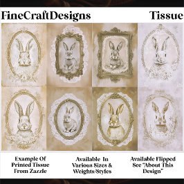 Set Of Cute Vintage Framed Rabbits EV2L Decoupage Seidenpapier