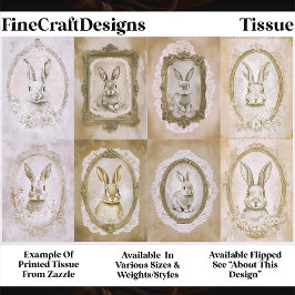 Set Of Cute Vintage Framed Rabbits EV2R Decoupage Seidenpapier