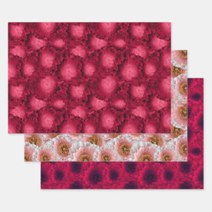 Set, Pfeffer, Blumenmuster, Blume, rosa, rot Geschenkpapier Set