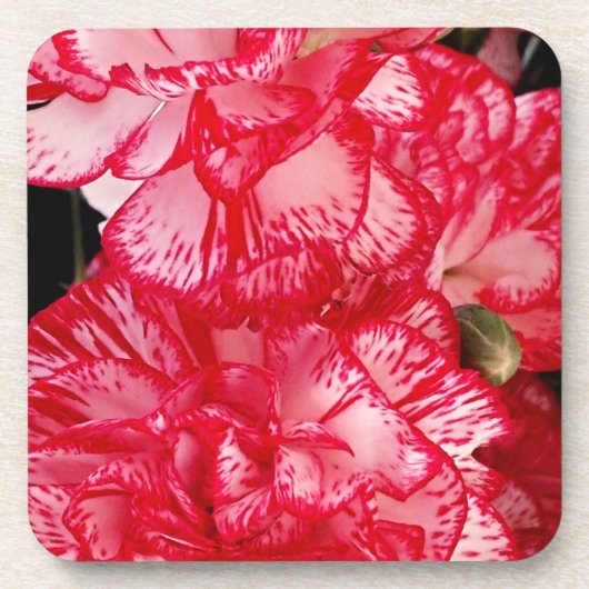 Set "Rote und weiße Nelken"-CORK-UNTERSETZER Untersetzer (Vorderseite)