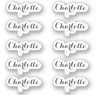 Set von 10   Kleiner eleganter Skriptname Aufkleber