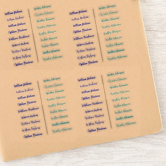 (Set von 18) Blue Transparent Simple Name Stickers Aufkleber