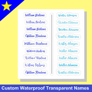 (Set von 18) Blue Transparent Simple Name Stickers Aufkleber