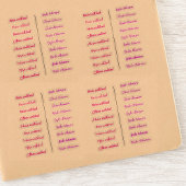 (Set von 18) Girly Transparent Simple Name Sticker