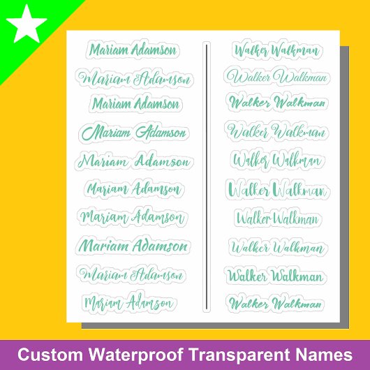 (Set von 20) Mint Transparent Simple Name Stickers Aufkleber
