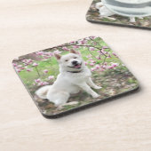 Set von 6 Cork Back Untersetzer White Akita (Linke Seite)