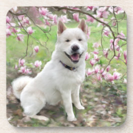 Set von 6 Cork Back Untersetzer White Akita