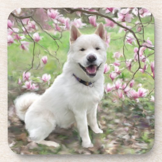 Set von 6 Cork Back Untersetzer White Akita (Vorderseite)