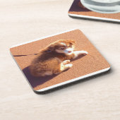 Set von 6 Untersetzer mit Foto Australischer Hirte (Linke Seite)