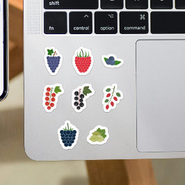 Set von Berry Fruits Stickers Aufkleber