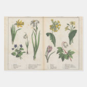 Set von drei antiken botanischen Kunstdrucken Geschenkpapier Set (Vorderseite 3)