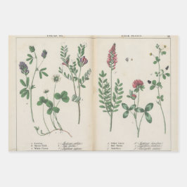 Set von drei antiken botanischen Kunstdrucken Geschenkpapier Set