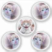 Set von fünf Circle Shape-Fotos Aufkleber (Vorderseite)