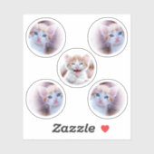 Set von fünf Circle Shape-Fotos Aufkleber (Blatt)