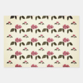 Set von Umschlagpapier, Geschenke für jeden Anlaß Geschenkpapier Set (Vorderseite 3)