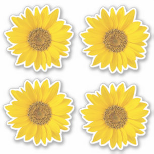 Set von vier gelben Sonnenblumen Kontur Aufkleber