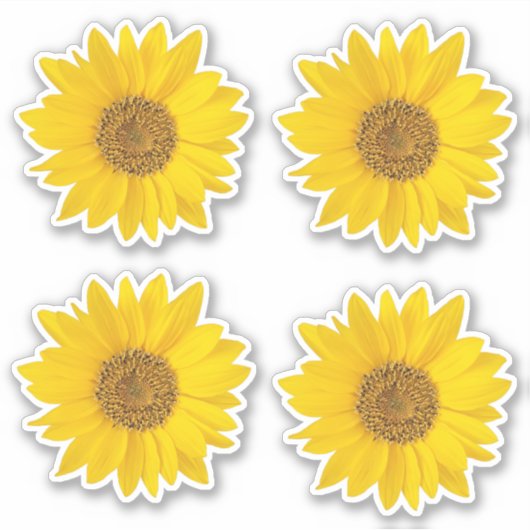 Set von vier gelben Sonnenblumen Kontur Aufkleber (Vorderseite)