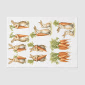 Set Whimsical Bunny Pairs & Carrots DC1 Decoupage Seidenpapier (Vorderseite)