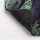 Set wild lebender Tier- und Pflanzenarten - Primat Mousepad (Ecke)