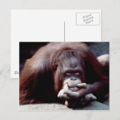 Set wild lebender Tiere - Primate 10 Postkarte (Vorne/Hinten)