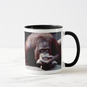 Set wild lebender Tiere - Primate 10 Tasse