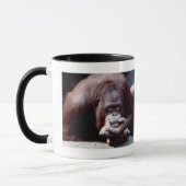 Set wild lebender Tiere - Primate 10 Tasse (Links)