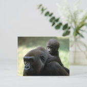 Set wild lebender Tiere - Primate 11 Postkarte (Stehend Vorderseite)