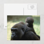 Set wild lebender Tiere - Primate 11 Postkarte (Vorne/Hinten)
