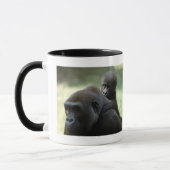 Set wild lebender Tiere - Primate 11 Tasse (Links)