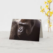 Set wild lebender Tiere - Primate 13 Karte (Gelbe Blume)