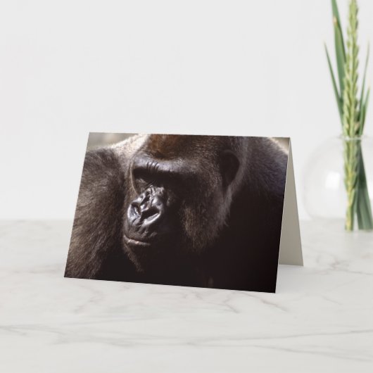 Set wild lebender Tiere - Primate 13 Karte (Vorderseite)