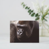 Set wild lebender Tiere - Primate 13 Postkarte (Stehend Vorderseite)
