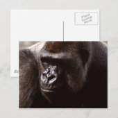 Set wild lebender Tiere - Primate 13 Postkarte (Vorne/Hinten)