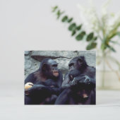 Set wild lebender Tiere - Primate 5 Postkarte (Stehend Vorderseite)