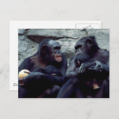 Set wild lebender Tiere - Primate 5 Postkarte (Vorne/Hinten)