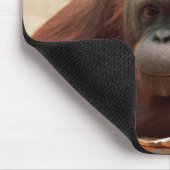 Set wild lebender Tiere - Primate 7 Mousepad (Ecke)