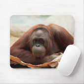 Set wild lebender Tiere - Primate 7 Mousepad (Mit Mouse)