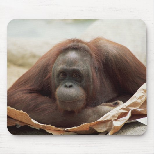 Set wild lebender Tiere - Primate 7 Mousepad (Vorne)
