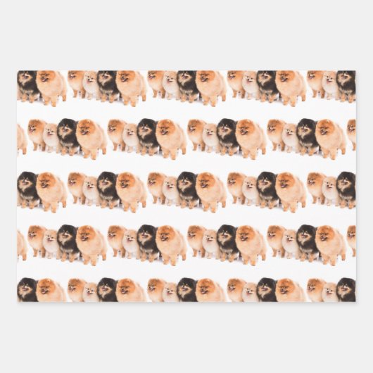 Set zum Entfernen von Spitz Geschenkpapier Set (Vorderseite 2)