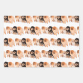 Set zum Entfernen von Spitz Geschenkpapier Set (Vorderseite)