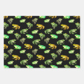 Set zum Wrapping von Fröschen Geschenkpapier Set (Vorderseite 2)