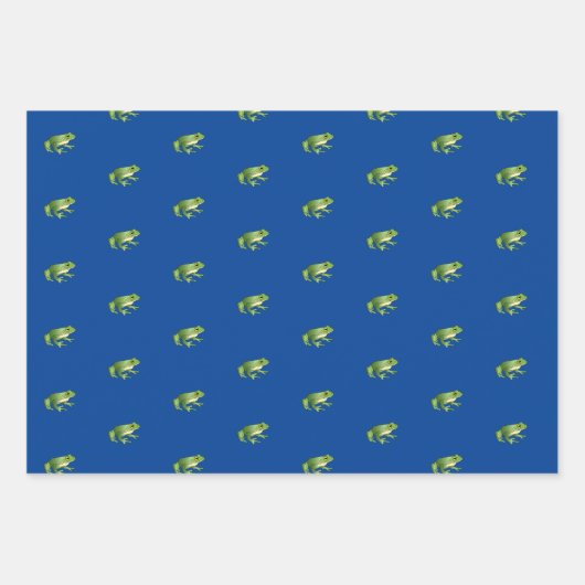 Set zum Wrapping von Fröschen Geschenkpapier Set (Vorderseite)