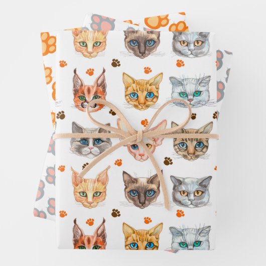 Set zum Wrapping von Katzen und Paws (3) Geschenkpapier Set (Beispiel)